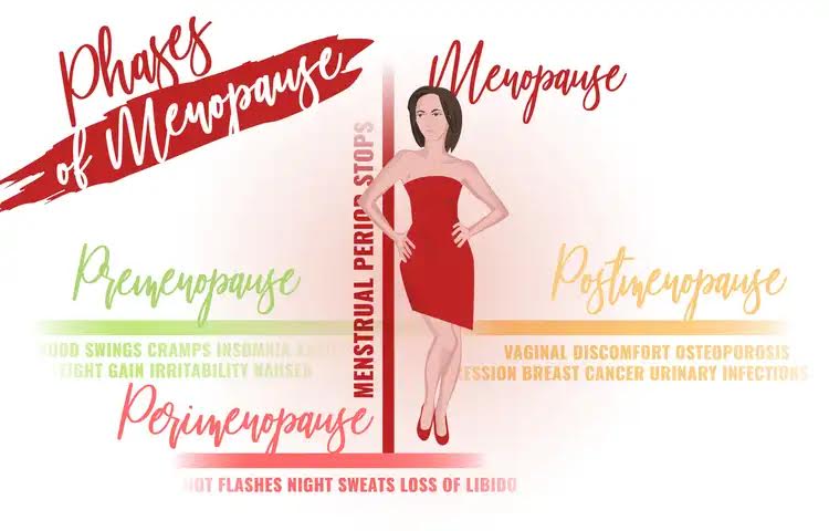 Stages of menopause.