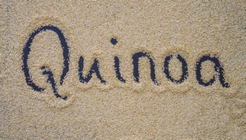 Quinoa on a black background and an inscription with a finger - Quinoa.